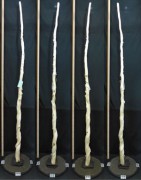 【変木】 長さ2.2m 末口幅30mm 16110952