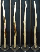 【変木】 長さ2.1m 末口幅60mm 16111054