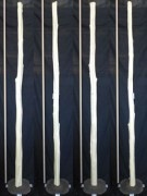 【変木】 チシャ 長さ3m 末口幅71mm 16032454