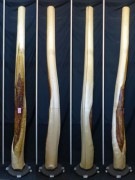 【変木】 長さ2.9m 末口幅155mm 16111653|その他変木|変木・磨き丸太・絞り丸太