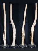 【変木】 クロモジ 長さ2.1m 末口幅70mm 18042485