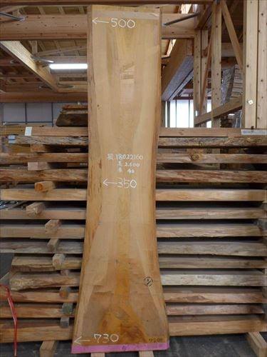 桧板 耳付 一枚板 2600×40×350mm 18022160｜無垢一枚板(カウンター