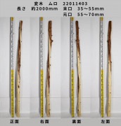 変木 榁(ムロ) 長さ約2000mm 末口幅Φ35~55mm 元口幅Φ55~70mm 22011403