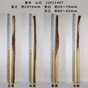 変木 榁(ムロ) 長さ約1970mm 末口幅Φ30~70mm 元口幅Φ80~85mm 22011407