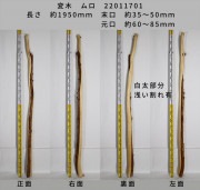 変木 榁(ムロ) 長さ約1950mm 末口幅Φ35~50mm 元口幅Φ60〜85mm 22011701