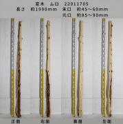 変木 榁(ムロ) 長さ約1990mm 末口幅Φ45~60mm 元口幅Φ85〜90mm 22011705