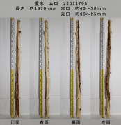 変木 榁(ムロ) 長さ約1970mm 末口幅Φ40~50mm 元口幅Φ80〜85mm 22011706