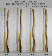 変木 榁(ムロ) 長さ約1990mm 末口幅Φ40~60mm 元口幅Φ100〜110mm 22011904|榁(ムロ)|変木・磨き丸太・絞り丸太