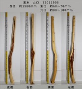 変木 榁(ムロ) 長さ約1980mm 末口幅Φ60~70mm 元口幅Φ80〜100mm 22011906