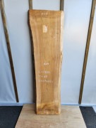 桧 耳付 一枚板 テーブル 天板 無垢 1820x47x425mm 品番23072601|桧(ヒノキ)|無垢一枚板(カウンター・テーブル・テレビ台)
