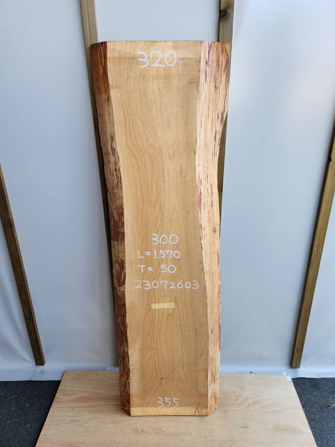 桧 耳付 一枚板 棚板 テレビボード 無垢 天板 1570x50x300mm 品番