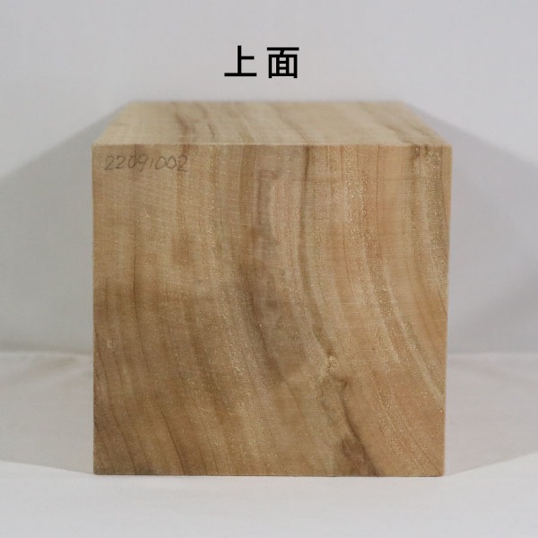 楠 彫刻 木材 木 素材 長369×厚143×幅152mm 22091002｜彫刻材,楠(クス