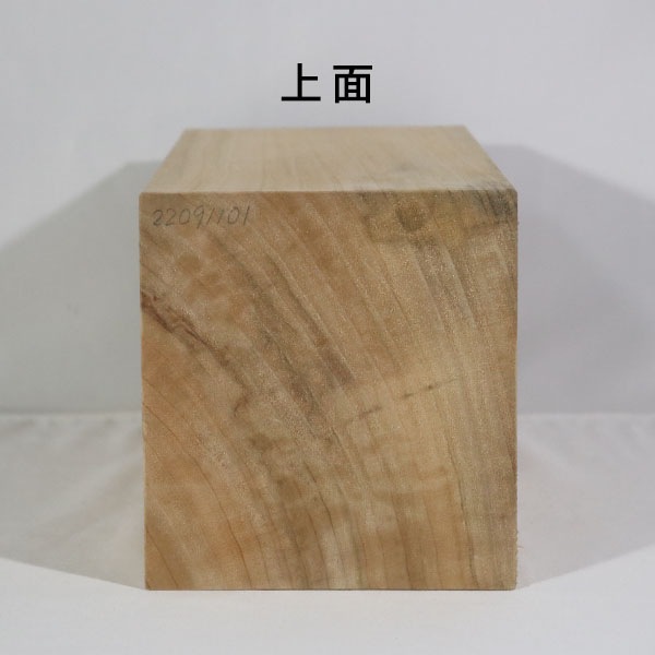 楠 彫刻 木材 木 素材 長325×厚157×幅146mm 22091101｜彫刻材,楠(クス