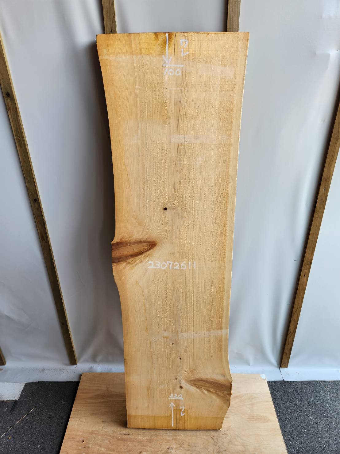1_000000008224.jpg?1692604063