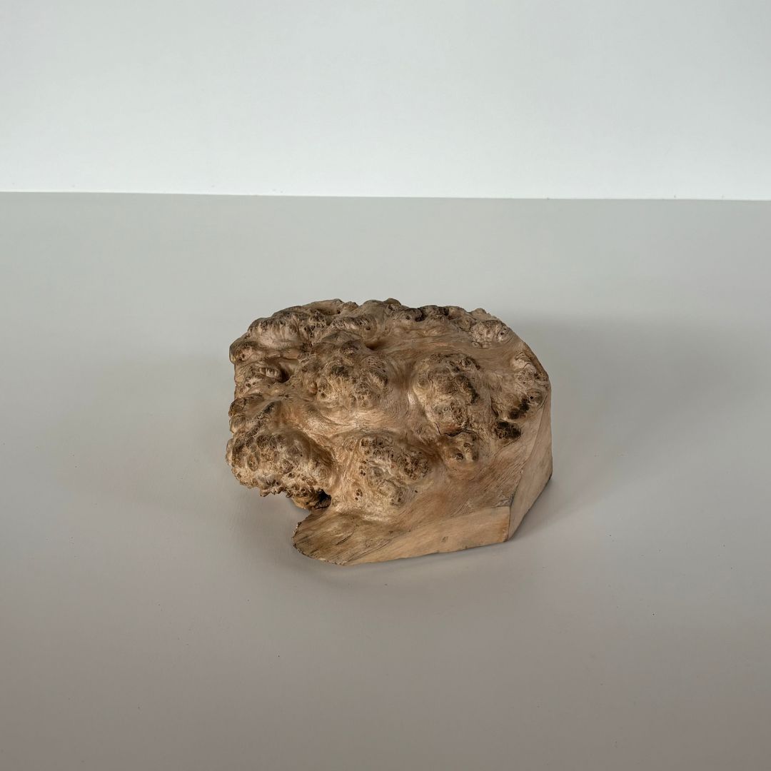 木の瘤(こぶ) 樺の木 高さ約8cm 幅約18cm 2024102301｜木の瘤｜木材