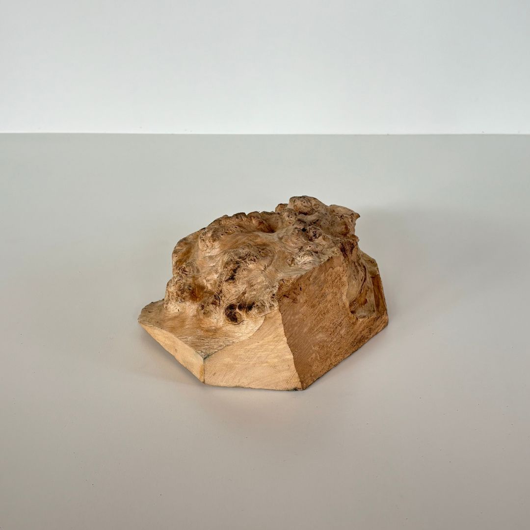 木の瘤(こぶ) 樺の木 高さ約8cm 幅約18cm 2024102301｜木の瘤｜木材