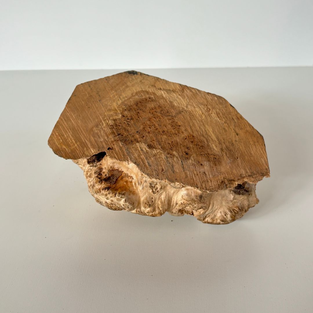 木の瘤(こぶ) 樺の木 高さ約8cm 幅約18cm 2024102301｜木の瘤｜木材