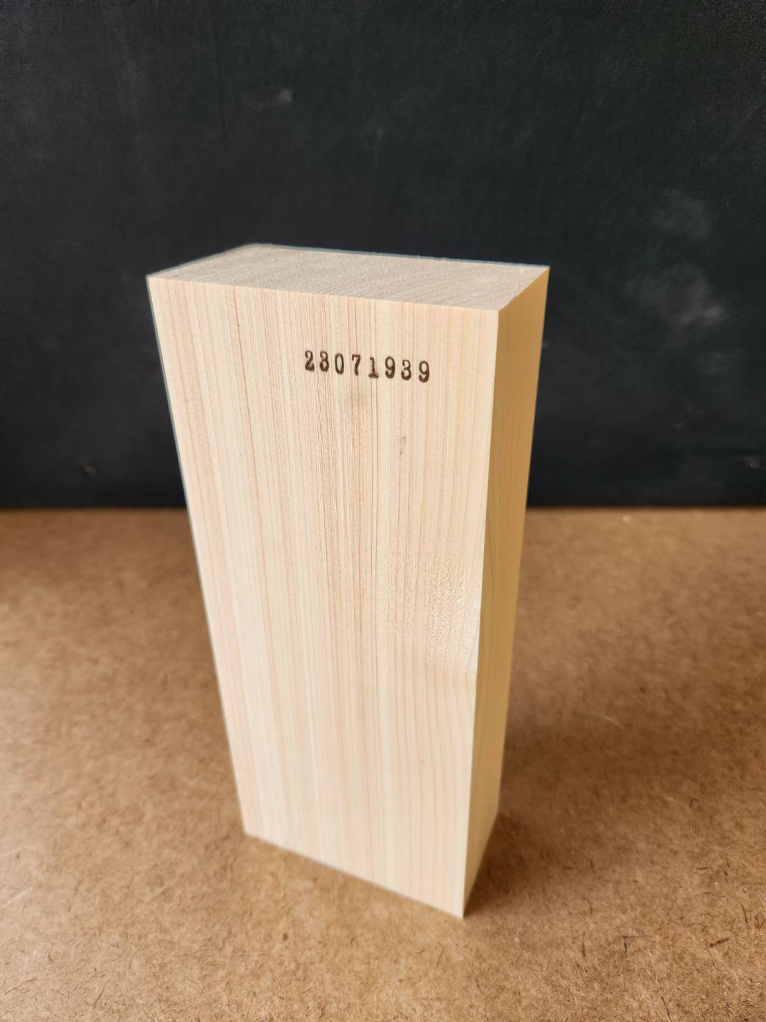 12_000000008169.jpg?1691387586