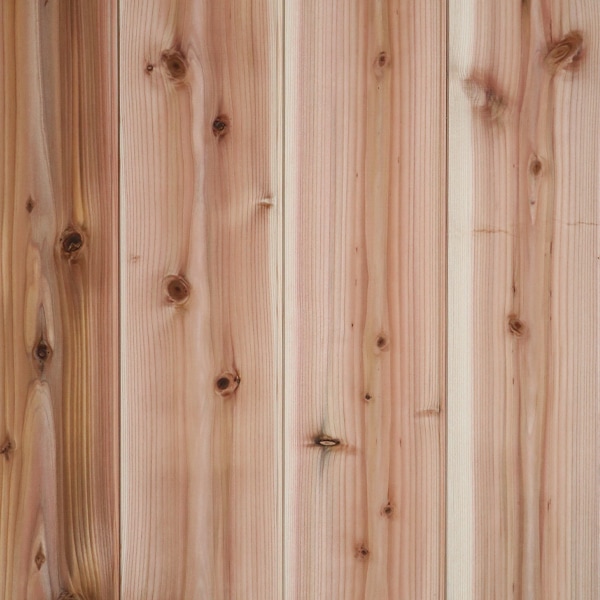 4_000000001080.jpg?1728027638