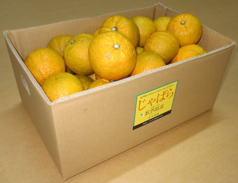 和歌山県有田産 じゃばらお試し （1.5kg入り）