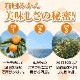 【産地直送】和歌山県有田産 『早生みかん』　（7.5kg入り）