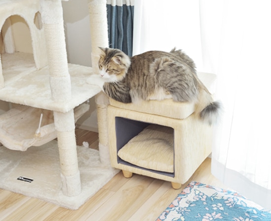 ペットスツール ねじ込み式 PET-62 幅35x奥行35x高さ41cm 東谷 W35×D35×H41 ペットスツール 四角 PET-62 ペットハウス 小屋