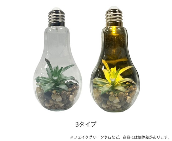 電球型インテリアライト テラリウム 照明 スタンド デスク テーブルライト おしゃれな家具 照明 店舗用什器の通販 Hapsent