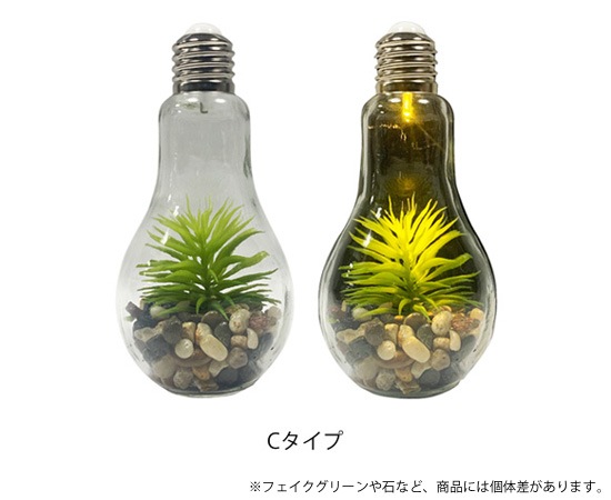 電球型インテリアライト テラリウム 照明 スタンド デスク テーブルライト おしゃれな家具 照明 店舗用什器の通販 Hapsent