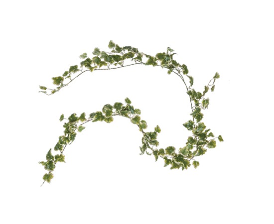 アイビーガーランド 斑入り 造花 グリーン ポット 造花 グリーン おしゃれな家具 照明 店舗向け什器の通販 Hapsent