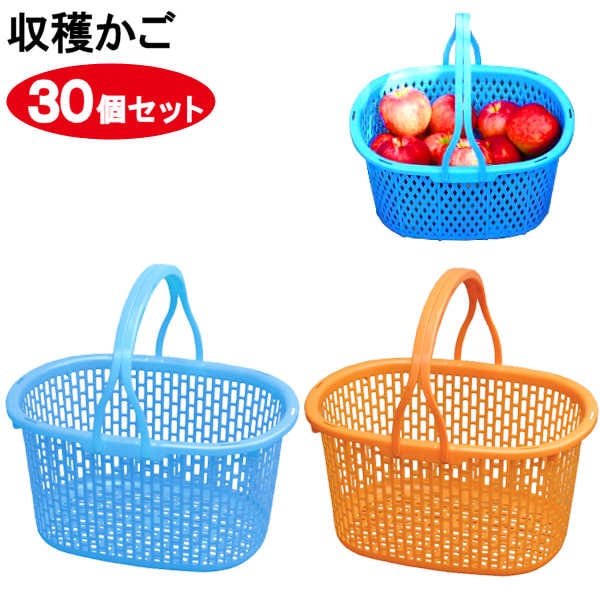 収穫かご 30個セット 15L 水色・オレンジ色 | 農業・園芸用品