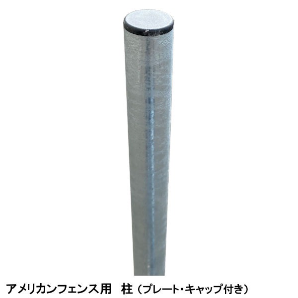 �ڥ���ꥫ��ե����� ��� �ڹ⤵ 900�� ��ñ�ʡ� �ڥ���С��� �ڥ֥�å��� ��1�ܡ� ��2�ܡ� ��3�ܡ� �� ����ꥫ��ե��� �ݡ��� ���� ��������ե��� �ե��� �ѡ��ơ������ �����ǥ�ե��� ���졼���ե��� ���ä����� ������� �� DIY ������ơ���