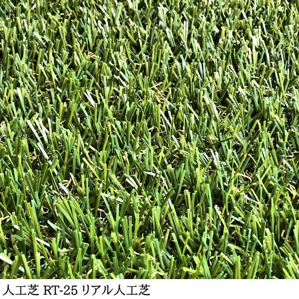 ڿ͹ǡ RT-25  182cm 10m  25mm եƥ ꥢ͹ ̳ /  ͹ǥ  ̩ ͹ ͹ǥޥå ޥå ʼ  륿 ٥ Х륳ˡ ư ǥ˥ ǥ ܳ 