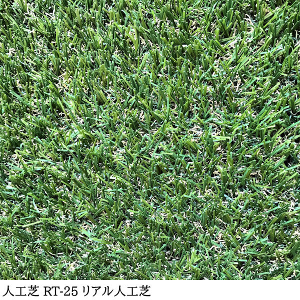 ڿ͹ǡ RT-25  182cm 10m  25mm եƥ ꥢ͹ ̳ /  ͹ǥ  ̩ ͹ ͹ǥޥå ޥå ʼ  륿 ٥ Х륳ˡ ư ǥ˥ ǥ ܳ 