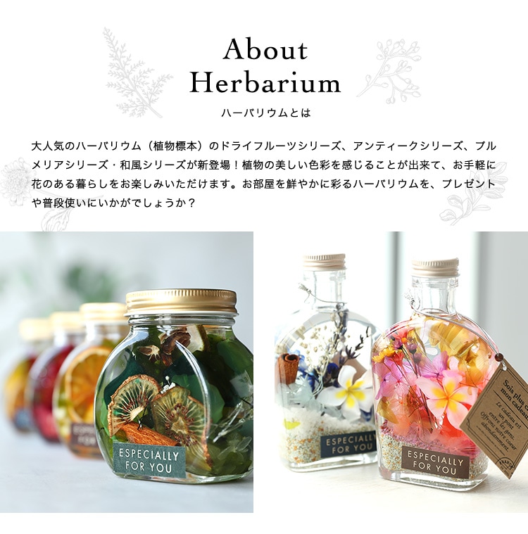herbarium-w】送料無料 ハーバリウム ナチュラル インテリア 雑貨 プチ