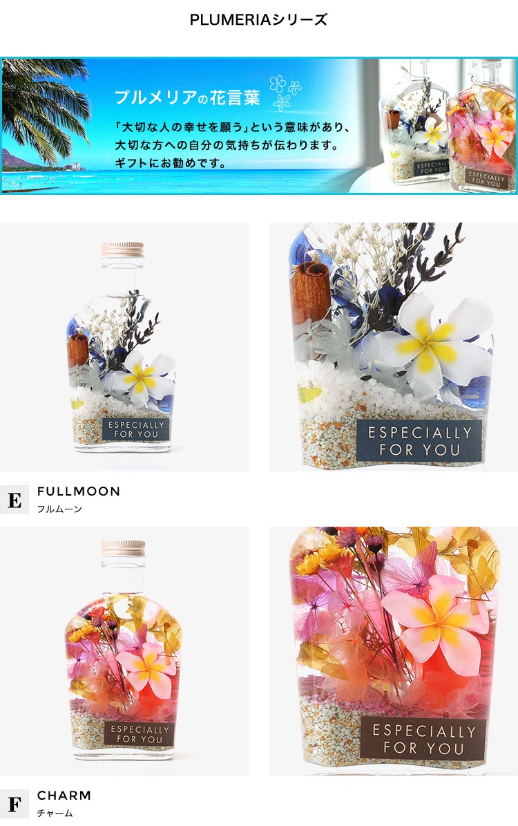 herbarium-w】送料無料 ハーバリウム ナチュラル インテリア 雑貨 プチ