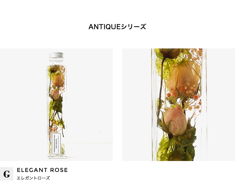 herbarium-w】送料無料 ハーバリウム ナチュラル インテリア 雑貨 プチ