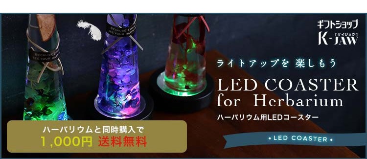 herbarium-kinako-ya】送料無料 送料無料 ハーバリウム サン