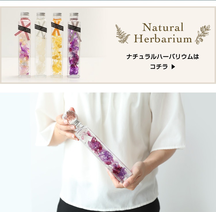 herbarium-kinako-ya】送料無料 送料無料 ハーバリウム サン