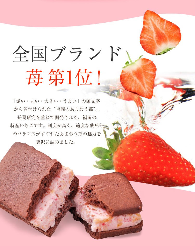 herbarium-kinako-ya】送料無料 送料無料 ハーバリウム サン
