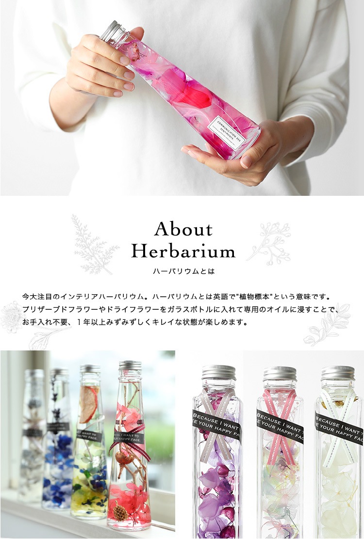 herbariumn-kinako-ya】送料無料 ハーバリウム+きなこーや(熊本銘菓