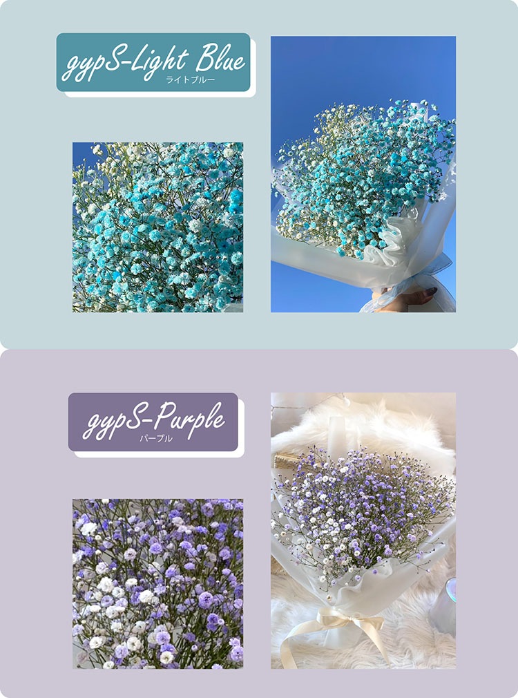 ̵B-303ۡΥ֡S