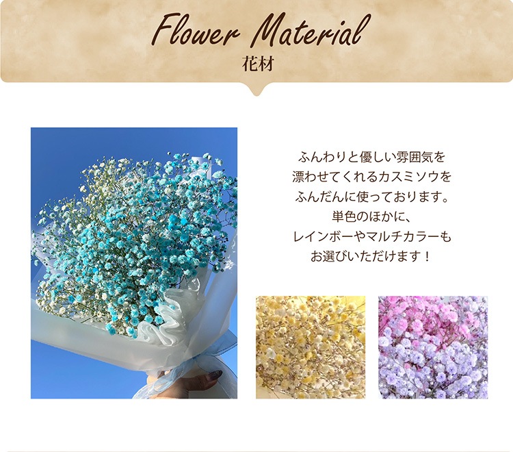 ̵B-303ۡΥ֡S