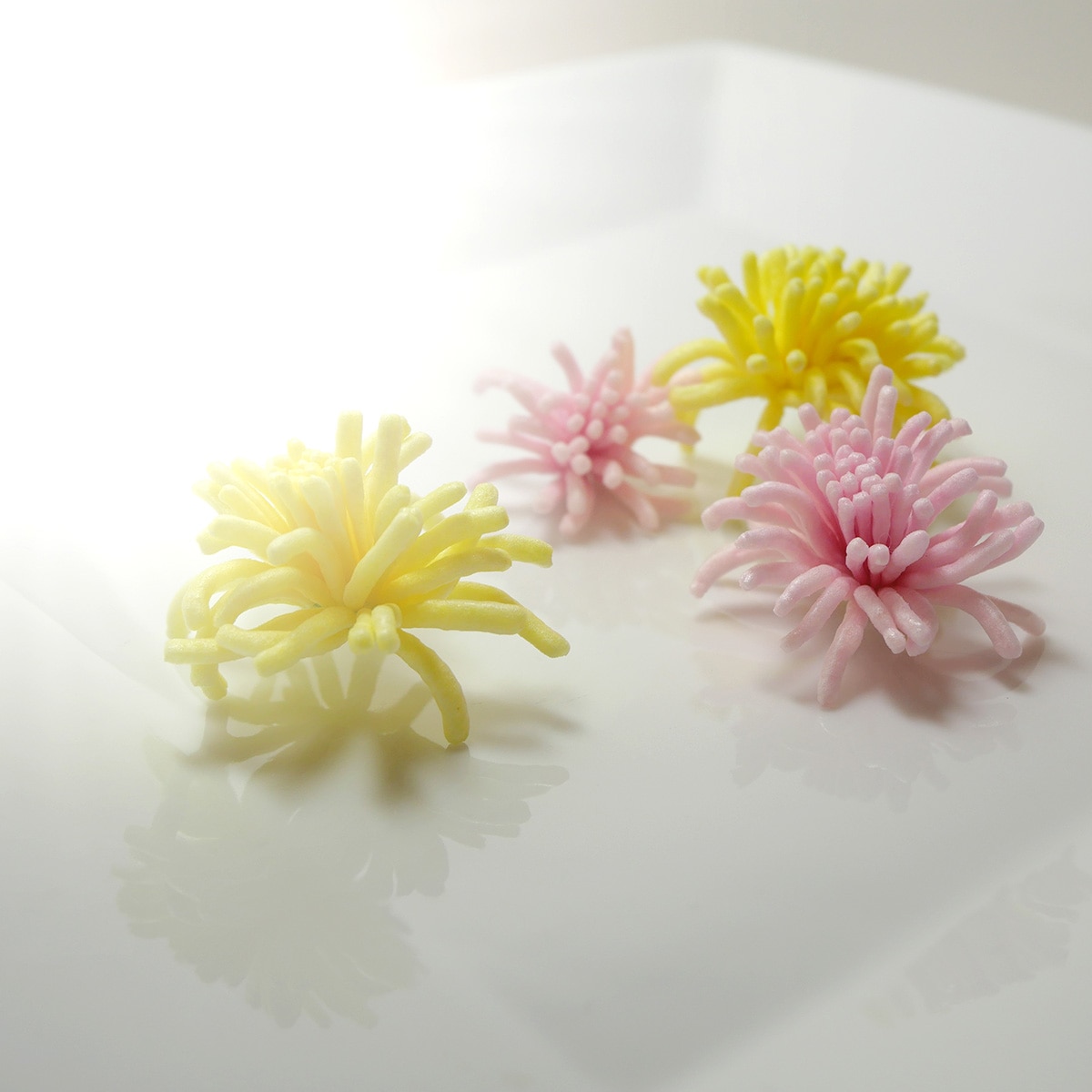 J*k様 花冷え　開花宣言 Amazon.co.jp: 花冷え。 開花宣言 : おもちゃ