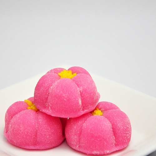 �֤������/5����