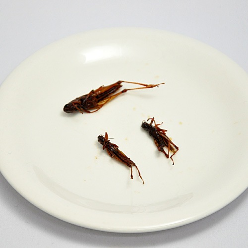 ��̣�����ʤ���Ϫ��