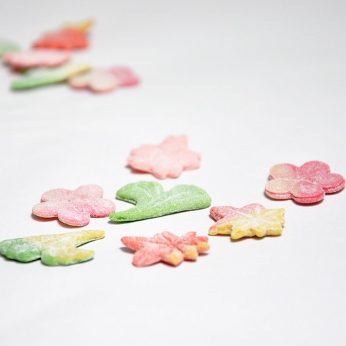 �᤭�褻�� 20������