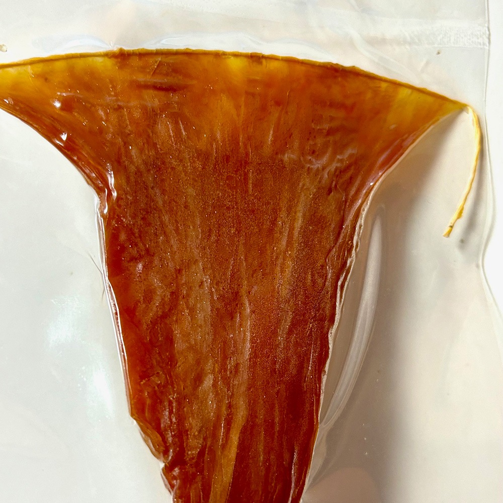 �������١��������������Τ�(�Х���)