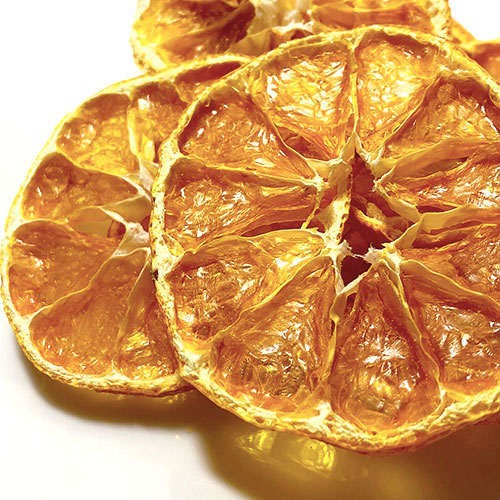 Υ󥷥奬̼¡ɥ饤ߤ󡦴̪