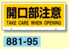 �ֳ������󥵲������ⵡ�ȡ����ʥӣ�������ɽ���ĳ��������ա�881-95