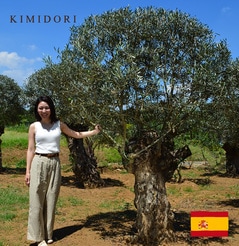 ���꡼�� D ��250cm ���ڥ��� ľ͢ ���� ���� ���� �Ͽ��� ���� ���ز�ǽ ���� ���� ����ܥ�ĥ꡼ ���� �����ǥ˥� ���м� �� ���� � �衼���å� �ץ������� ���� ���� �� �����ǥ� ���� Ź�� ���� �¤��ʤ��� ���꡼�֤��� ���꡼�֤μ� 